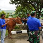 d66427cb-fb9f-4400-8787-7456d686a3cc